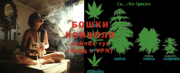ешки Покачи