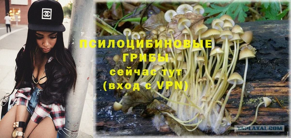 mdpv Покровск