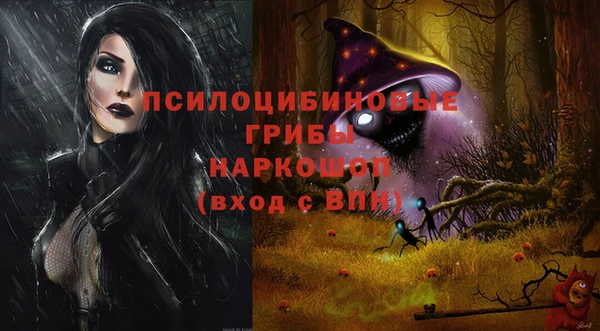 ешки Покачи