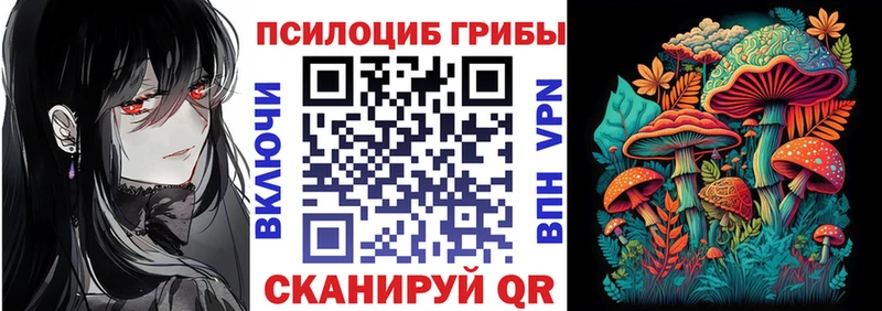 Купить  Чехов  Галлюциногенные грибы Psilocybine cubensis 